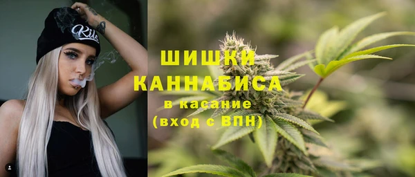 ГАЛЛЮЦИНОГЕННЫЕ ГРИБЫ Арсеньев