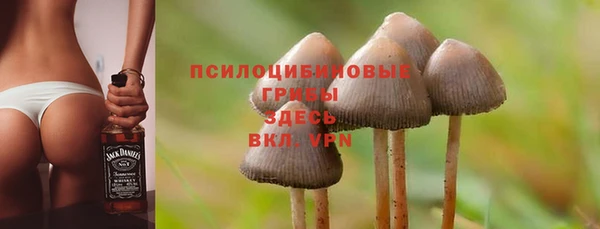 mix Белокуриха