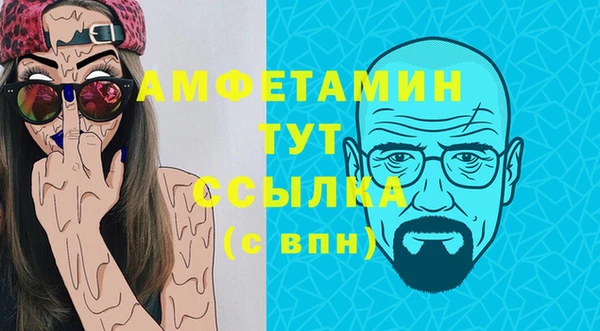 сатива Аркадак