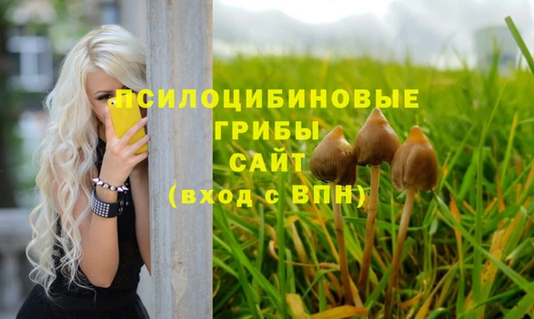 сатива Аркадак