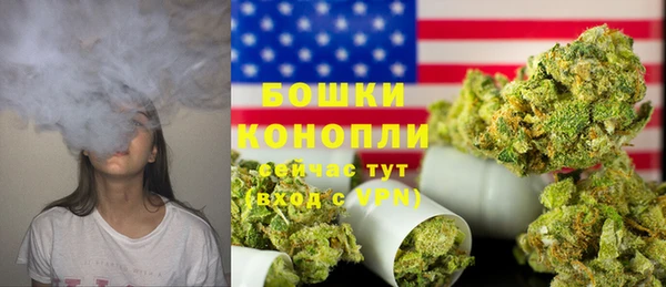 прущие грибы Белоозёрский