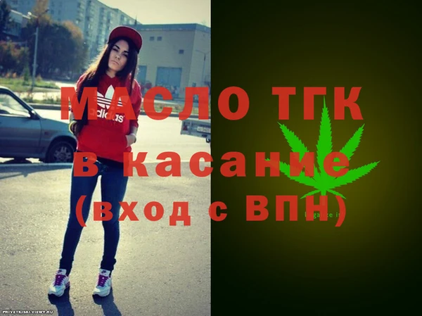 сатива Аркадак