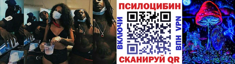 Купить где  Светогорск  Псилоцибиновые грибы MAGIC MUSHROOMS 